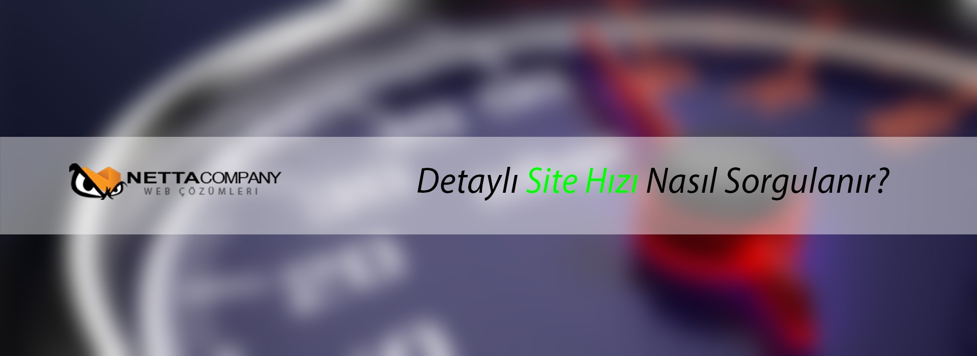 Detaylı Site Hızı Nasıl Sorgulanır?