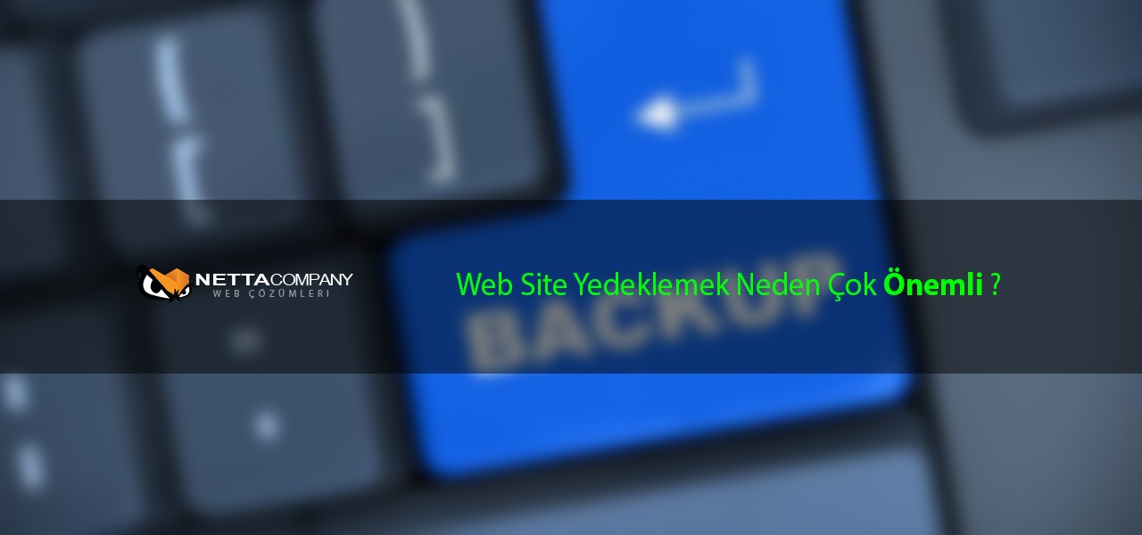 Web Site Yedeklemek Neden Çok Önemli ?