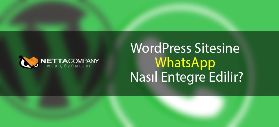 WordPress Sitesine WhatsApp Nasıl Entegre Edilir?